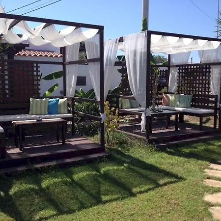 Socrates And 4*